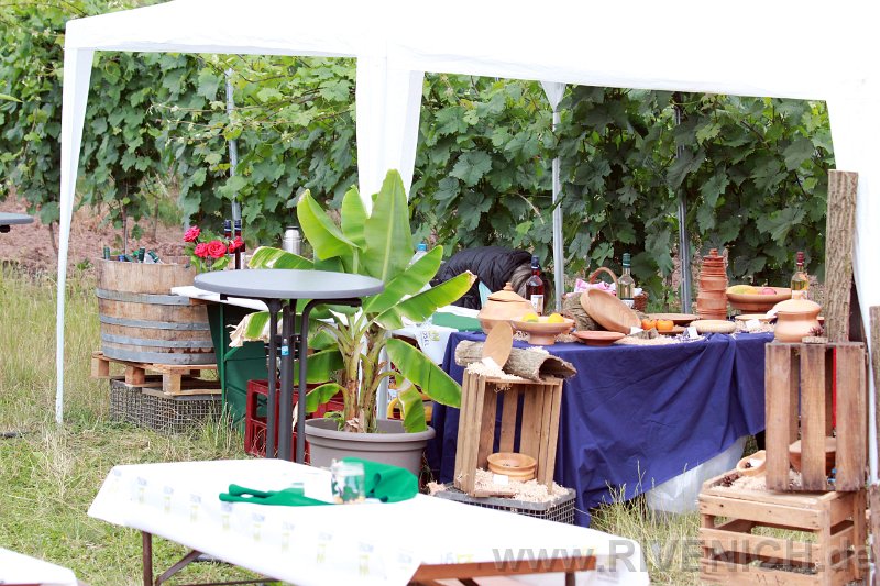 Mittsommerfest 2017 – Bild 124